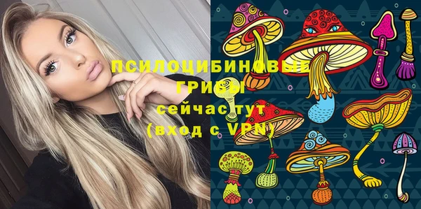 хмурый Богородск