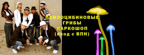 apvp Белокуриха