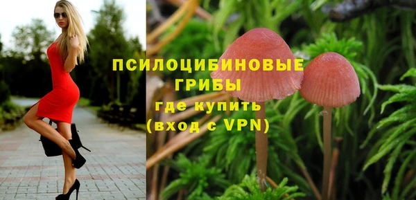 экстази Арсеньев